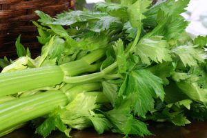 celery-selino