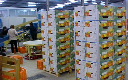 Στις εξαγωγές στοχεύει η ελληνική βιομηχανία τροφίμων