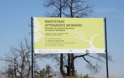 2007 – 2017: 10 χρόνια από το ολοκαύτωμα Τα βασικά συμπεράσματα