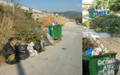 Το «ευχαριστώ» του Νίκου Θανασούλια προς τοπικές κοινότητες για την εναπόθεση κλαδιών και χόρτων