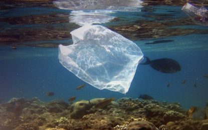 Greenpeace: Η Ρύπανση από Πλαστικά Απορρίμματα Εχει Φθάσει ως την Ανταρκτική