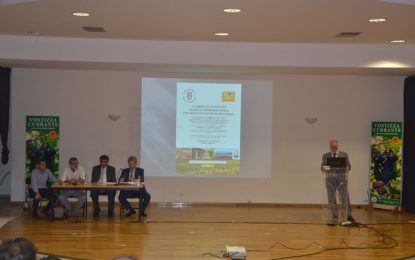 Η συμβολή της καλλιέργειας της μαύρης κορινθιακής σταφίδας στην πολιτιστική κληρονομιά της Ελλάδας
