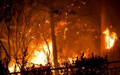 Ο διεθνής Τύπος για την τραγωδία στην Ανατολική Αττική