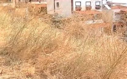 Δημοτική Κοινότητα Αιγίου προς πολίτες: «Καθαρίστε τους χώρους σας από ξερά χόρτα και εύφλεκτα υλικά”