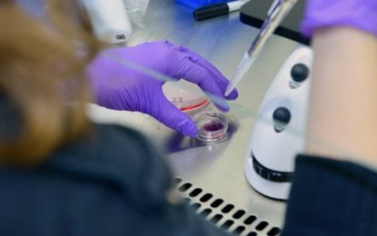 Ανθρώπινος αμφιβληστροειδής κατασκευάστηκε στο εργαστήριο