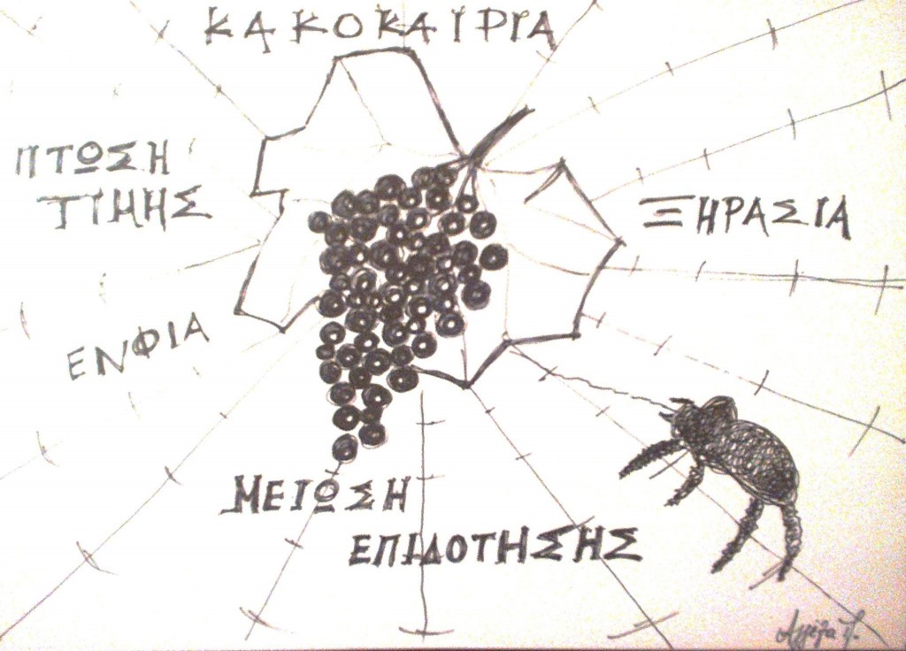 ΄Ερμε Παπασταφίδα