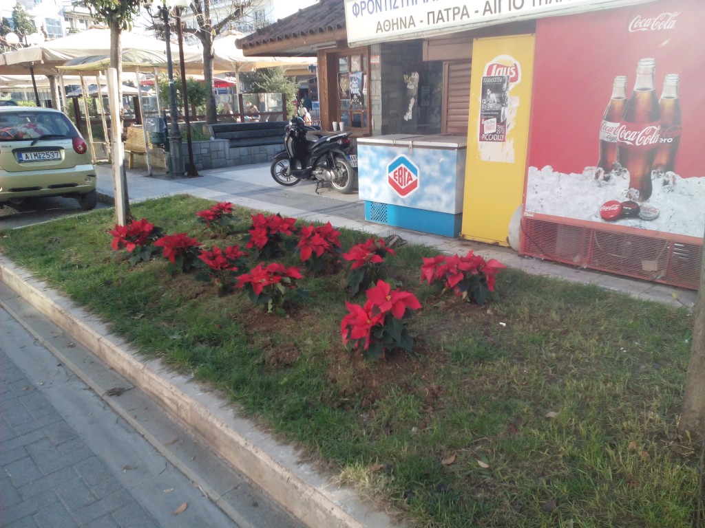 Στολίστηκε με αλεξανδρινά η πλατεία Αγίας Λαύρας