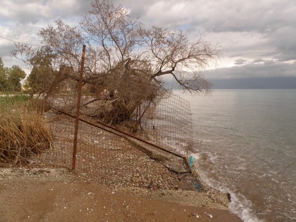 Ημερίδα από "ΙΡΙΔΑ" και "ΑΛΚΥΩΝ" στο Λόγγο με θέμα: "Διάβρωση ακτών στην Β. Πελοπόννησο και στην Αιγιάλεια – Μπορούμε να σώσουμε τις παραλίες μας;"