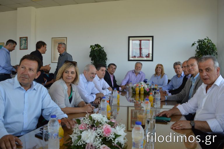 Στην Π.Ε.Σ. η Πρόεδρος του ΠΑΣΟΚ Φώφη Γεννηματά