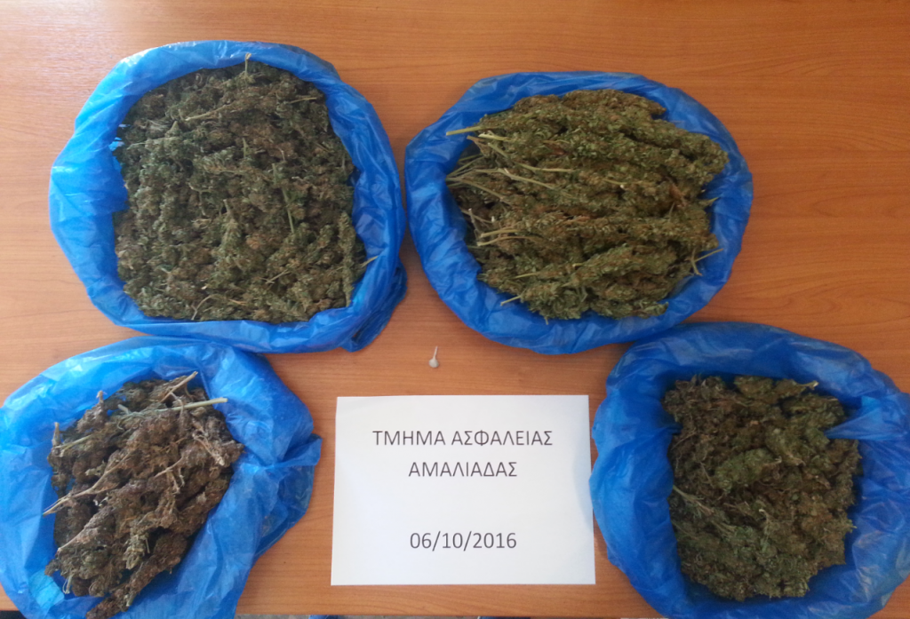 ΗΛΕΙΑ: Κατασχέθηκε σχεδόν ενάμισι κιλό κάνναβης και μια κυνηγετική καραμπίνα