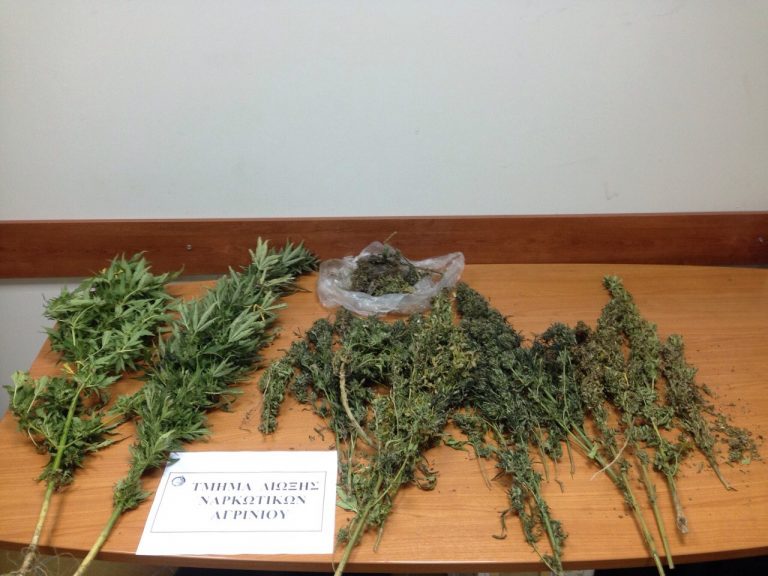 Συνελήφθη 48χρονος ημεδαπός  στο Αγρίνιο για καλλιέργεια και κατοχή ναρκωτικών
