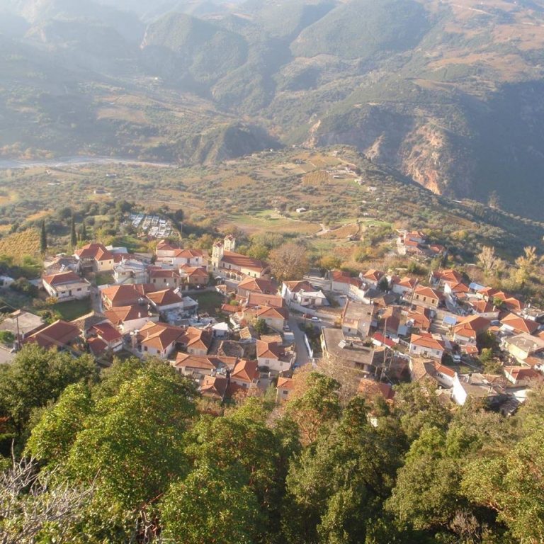 Το νέο Δ.Σ. του Πολιτιστικού Συλλόγου Δαφνών “Δήμητρα”