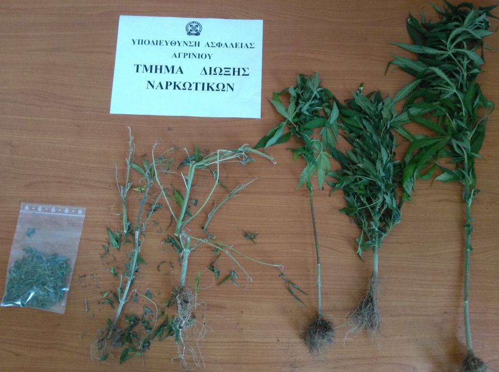 Συνελήφθη 35χρονος στο Αγρίνιο για καλλιέργεια ναρκωτικών