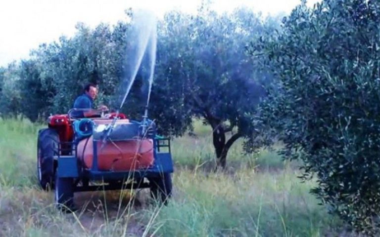 Β. Κεγκέρογλου: Γιατί καθυστερεί η έναρξη του προγράμματος δακοκτονίας έτους 2017