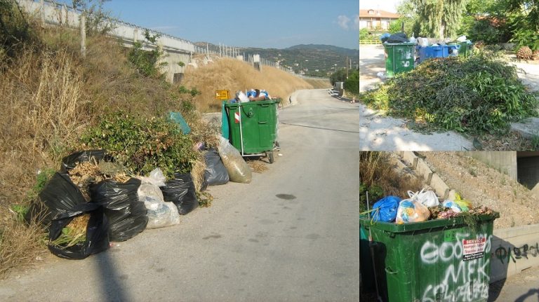 Το “ευχαριστώ” του Νίκου Θανασούλια προς τοπικές κοινότητες για  την εναπόθεση κλαδιών και χόρτων