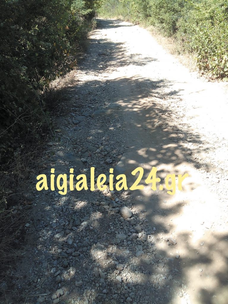 Δεν πάνε σχολείο οι μαθητές από το Μπόσι Καλαβρύτων στους Πετσάκους – Δεν υπάρχουν δρομολόγια για τη μεταφορά τους