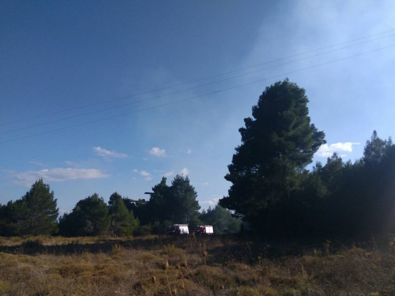 Φωτιά ξέσπασε στην Άνω Ζήρια