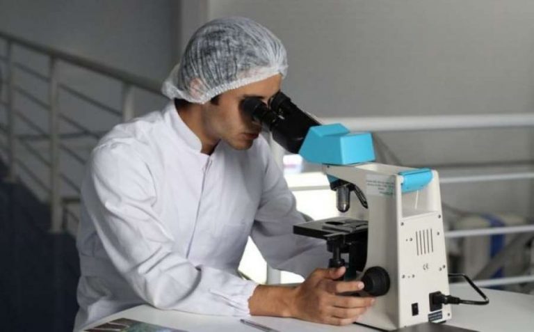 Δημιούργησαν έμβρυο χωρίς σπερματοζωάριο και ωάριο