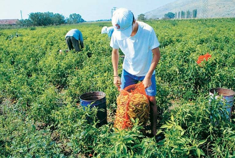 Όλοι οι επιλαχόντες σε όλες τις Περιφέρειες θα ενταχθούν στους Νέους Αγρότες