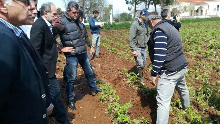 Κοντά στους πληγέντες παραγωγούς ο Περιφερειάρχης Απόστολος Κατσιφάρας