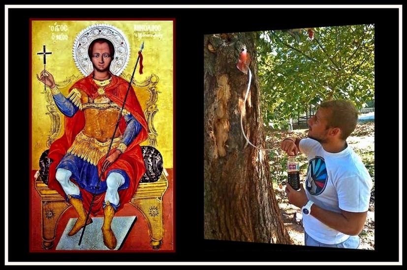 Γιορτάζει σήμερα ο Άγιος Νικόλαος ο εν Βουνένοις: Το θαύμα των δέντρων που  αιμορραγούν! | Aigialeia24