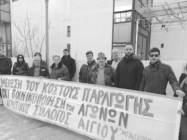 Αγροτικός Σύλλογος Αιγίου: “Ζητάμε μέτρα στήριξης για αγρότες, κτηνοτρόφους, παραγωγούς, ελαιοπαραγωγούς”