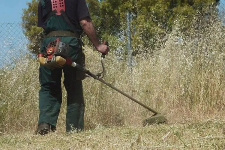 Δήμος Αιγιάλειας – Ψηφιακή πλατφόρμα δήλωσης καθαρισμού οικοπέδων
