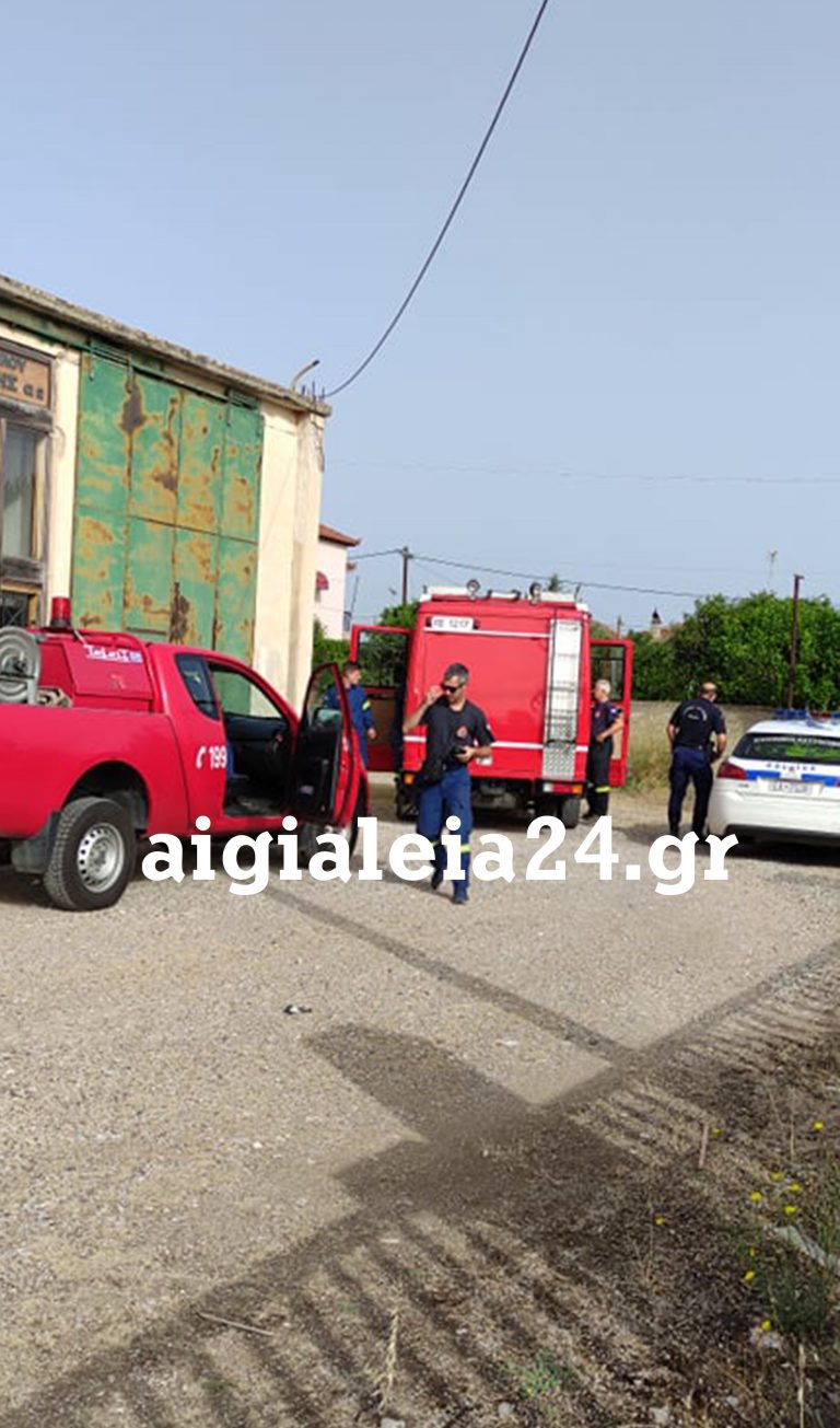 Αίγιο: Σώθηκε σκυλάκι που είχε πέσει σε φρεάτιο – Στήθηκε επιχείρηση απεγκλωβισμού του