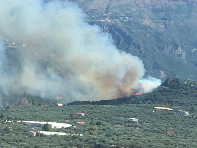 Αιγιάλεια: Μεγάλη φωτιά στο Κάτω Μαυρίκι Αιγίου