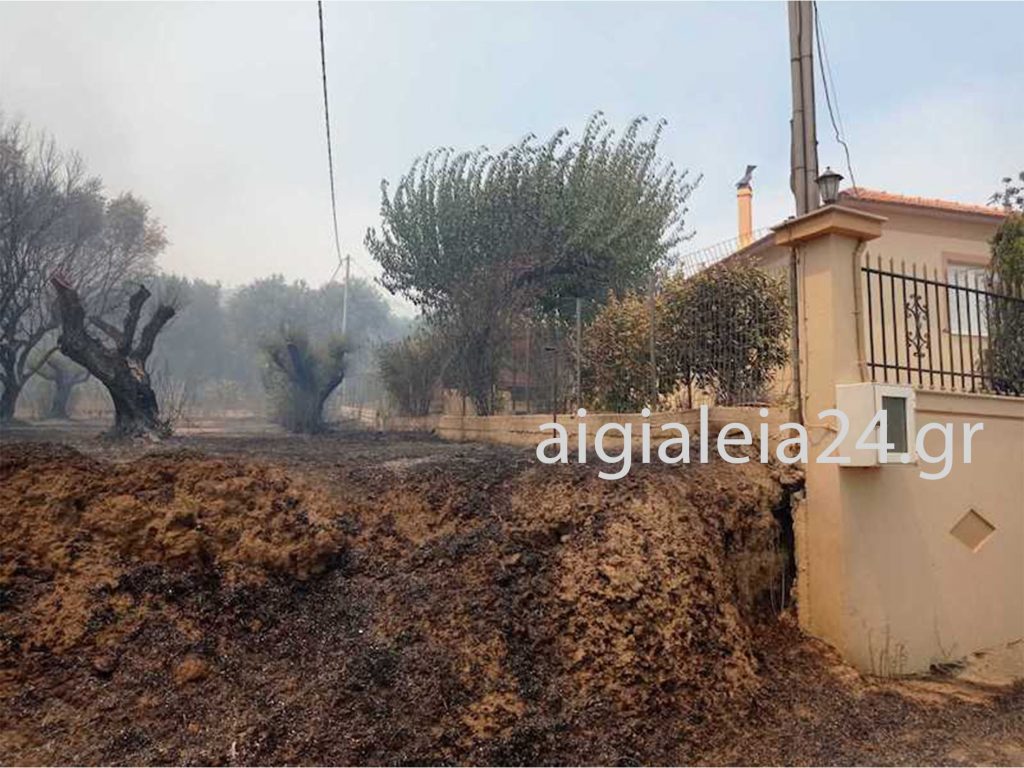 ΒΙΝΤΕΟ: Ενάριες και επίγειες δυνάμεις προσπαθούν να περιορίσουν τη φωτιά στη Ζήρια