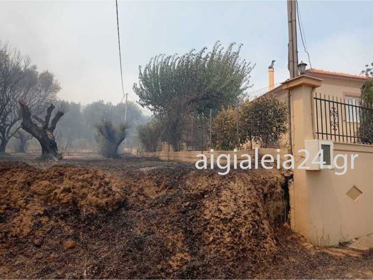 ΒΙΝΤΕΟ: Ενάριες και επίγειες δυνάμεις προσπαθούν να περιορίσουν τη φωτιά στη Ζήρια