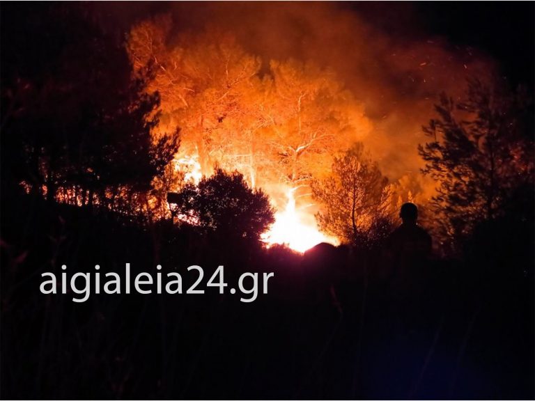 Ολονύχτια μάχη με τις φλόγες δίνουν οι πυροσβέστες – “Σας ευχαριστούμε”