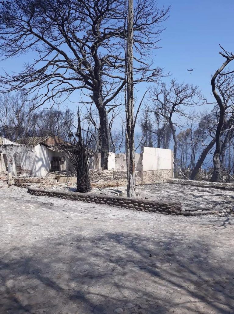 Κλιμάκιο του ΣΥΡΙΖΑ επισκέφτηκε τις πληγείσες απο τις πυρκαγιές περιοχές της Δυτικής Αιγιάλειας
