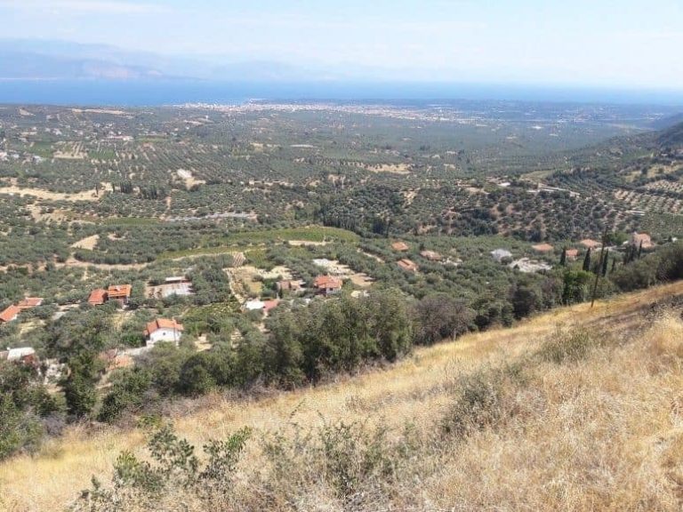 Την Κυριακή 12/9 η τελετή ονοματοδοσίας της πλατείας Κούμαρι σε “Πλατεία Γρηγορίου Σολωμού”