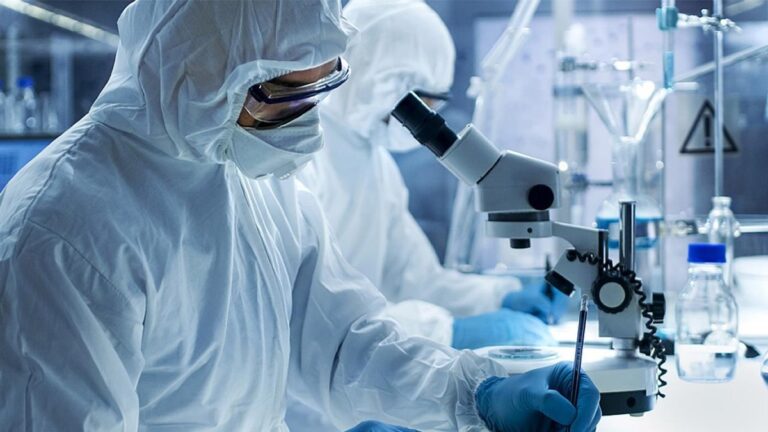 Ευλογιά των πιθήκων: Παγκόσμια ανησυχία ενόψει του καλοκαιριού