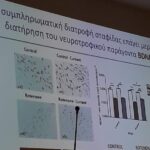 pes-esperida-1