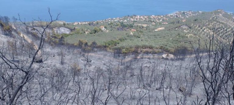 Αίτημα για κήρυξη σε κατάσταση έκτακτης ανάγκης, των κοινοτήτων που επλήγησαν από την πρόσφατη πυρκαγιά στην Αιγιάλεια