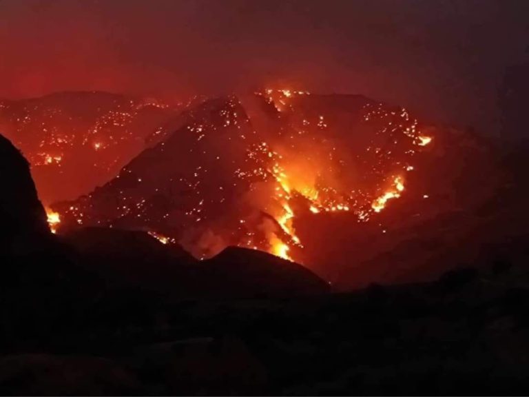 Νέα χρηματοδότηση 500.000 ευρώ για αποκατάσταση ζημιών από την πυρκαγιά στην Δ.Ε. Διακοπτού