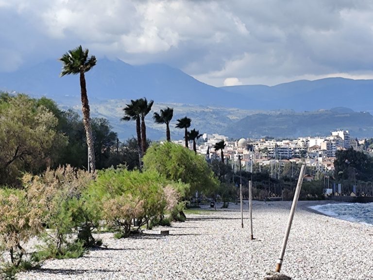 Παραλία Αλυκής Αιγίου – Καθαρισμός των φοινίκων και υποψηφιότητα για Γαλάζια Σημαία