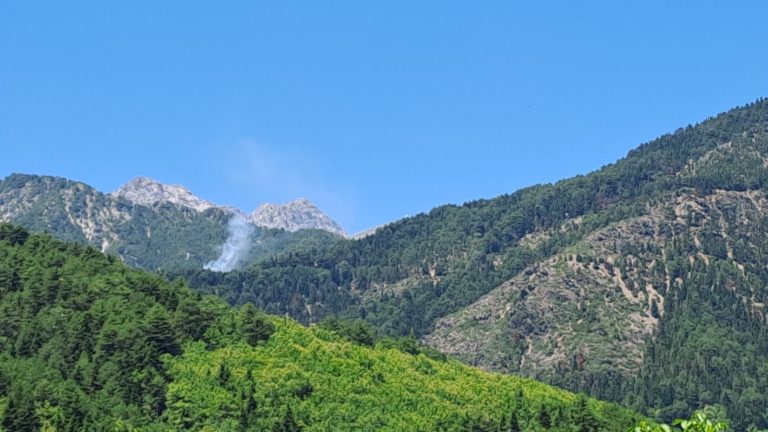 Κινητοποίηση Πυροσβεστικής για καπνό στο καστανόδασος Ζαρούχλας Αιγιάλειας