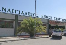 Ψηφιακά δελτία αποστολής της ΠΕΣ για τους παραγωγούς που παραδίδουν ελαιόκαρπο στο ελαιοτριβείο