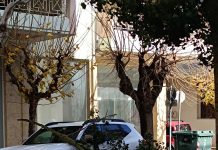 Σφοδρή κακοκαιρία πλήττει την Αχαΐα-Ισχυροί άνεμοι και πτώσεις δέντρων στο Αίγιο και την Πάτρα