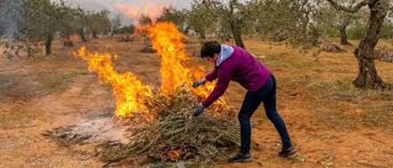 Καύση υπολειμμάτων καλλιεργειών στην Αιγιάλεια – Η επικίνδυνη συνήθεια που μπορεί να γίνει απειλή