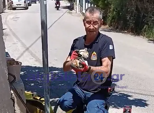 Πυροσβέστης στο Αίγιο έσωσε γατάκι από φρεάτιο – Μια πράξη ανθρωπιάς που συγκινεί