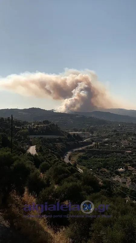 Παράταση έως τις 21 Αυγούστου για τις δηλώσεις ζημιάς από την πυρκαγιά στις Τ.Κ. Σελιανιτίκων και Μυρόβρυσης