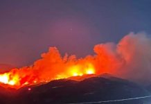 Φλόκα Αχαΐας: Μάχη με τις φλόγες, μήνυμα 112 για εκκένωση – Ένας εθελοντής στο Κέντρο Υγείας με αναπνευστικά προβλήματα