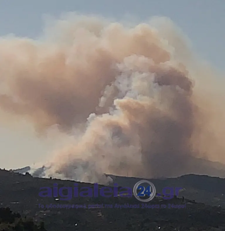 Υποβολή δηλώσεων ζημιάς στον ΕΛΓΑ για τις ζημιές από την πυρκαγιά της 1ης Αυγούστου 2026