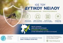 Μαστοράκου: «Κανένας εφησυχασμός για τον Ιό του Δυτικού Νείλου – Συνεχίζουμε την πρόληψη και την επιτήρηση”