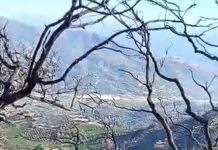 Αιγιάλεια: Καλύτερη η εικόνα σήμερα μετά τη μεγάλη φωτιά – Βαρύς ο πρώτος απολογισμός των καταστροφών