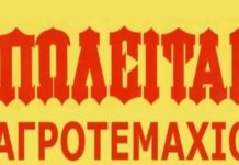 EYKAIΡΙΑ – Πωλείται αγροτεμάχιο συνολικής επιφάνειας 6.300 τ.μ.
